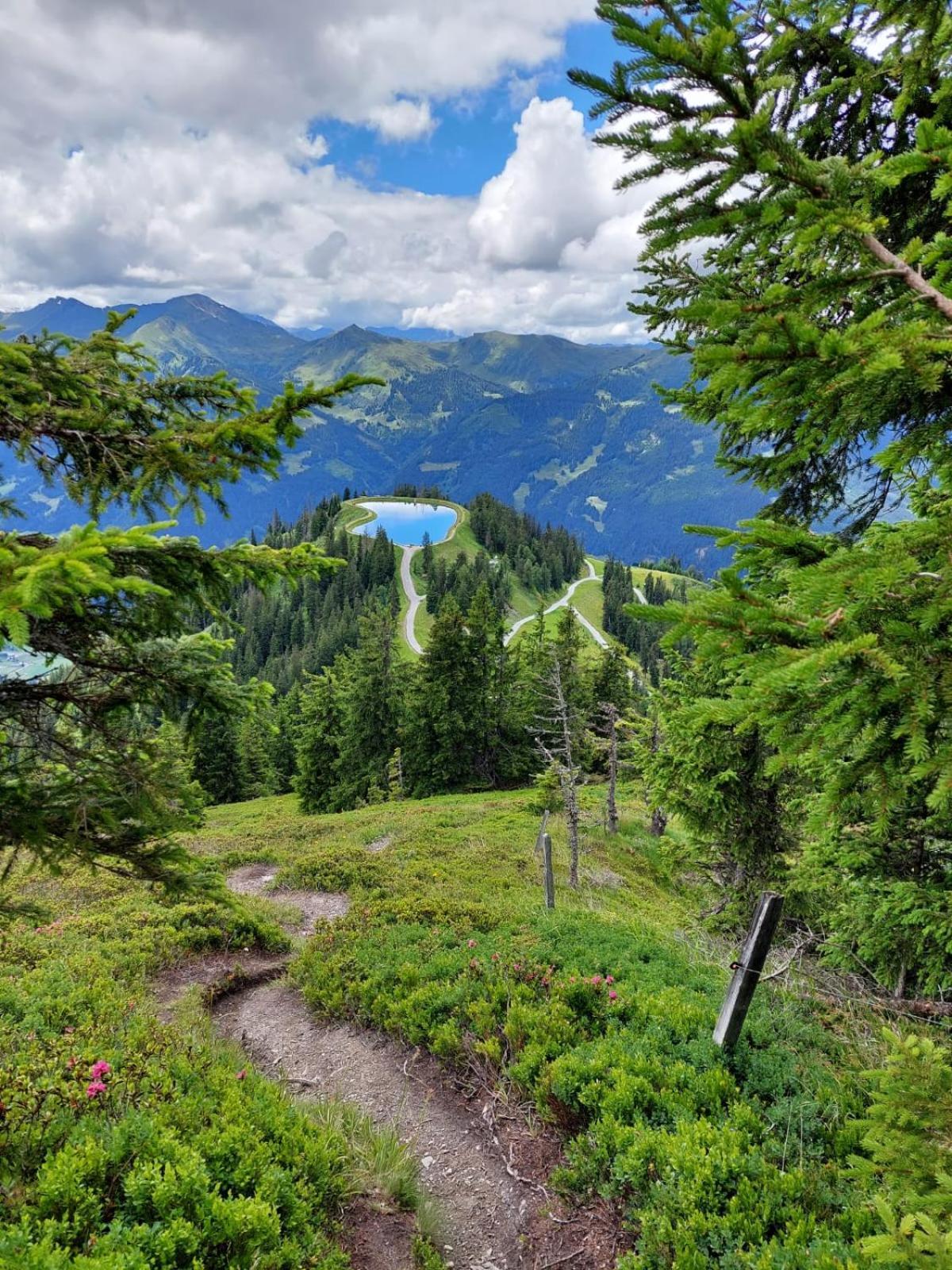 Pension Posauner Dorfgastein Exteriör bild